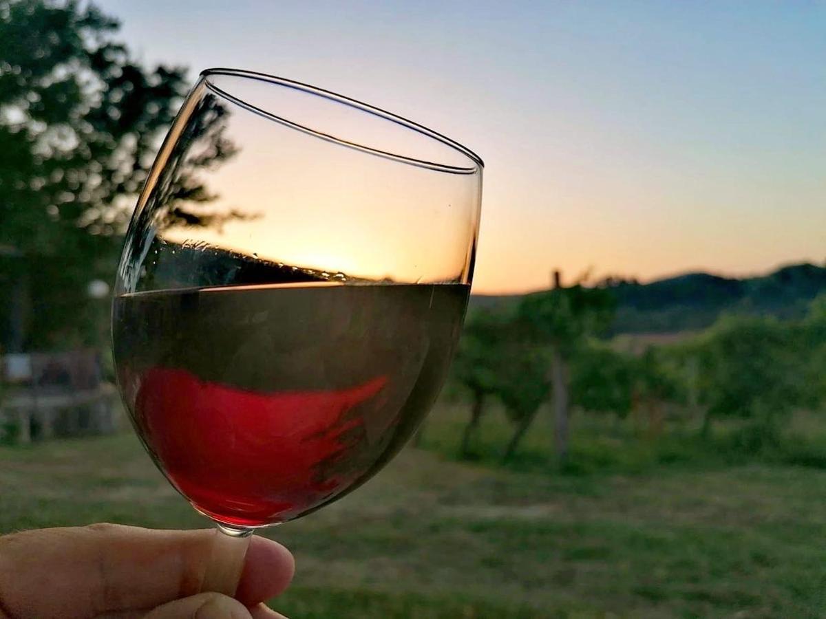 Podere Bellavista San Gimignano Exteriör bild
