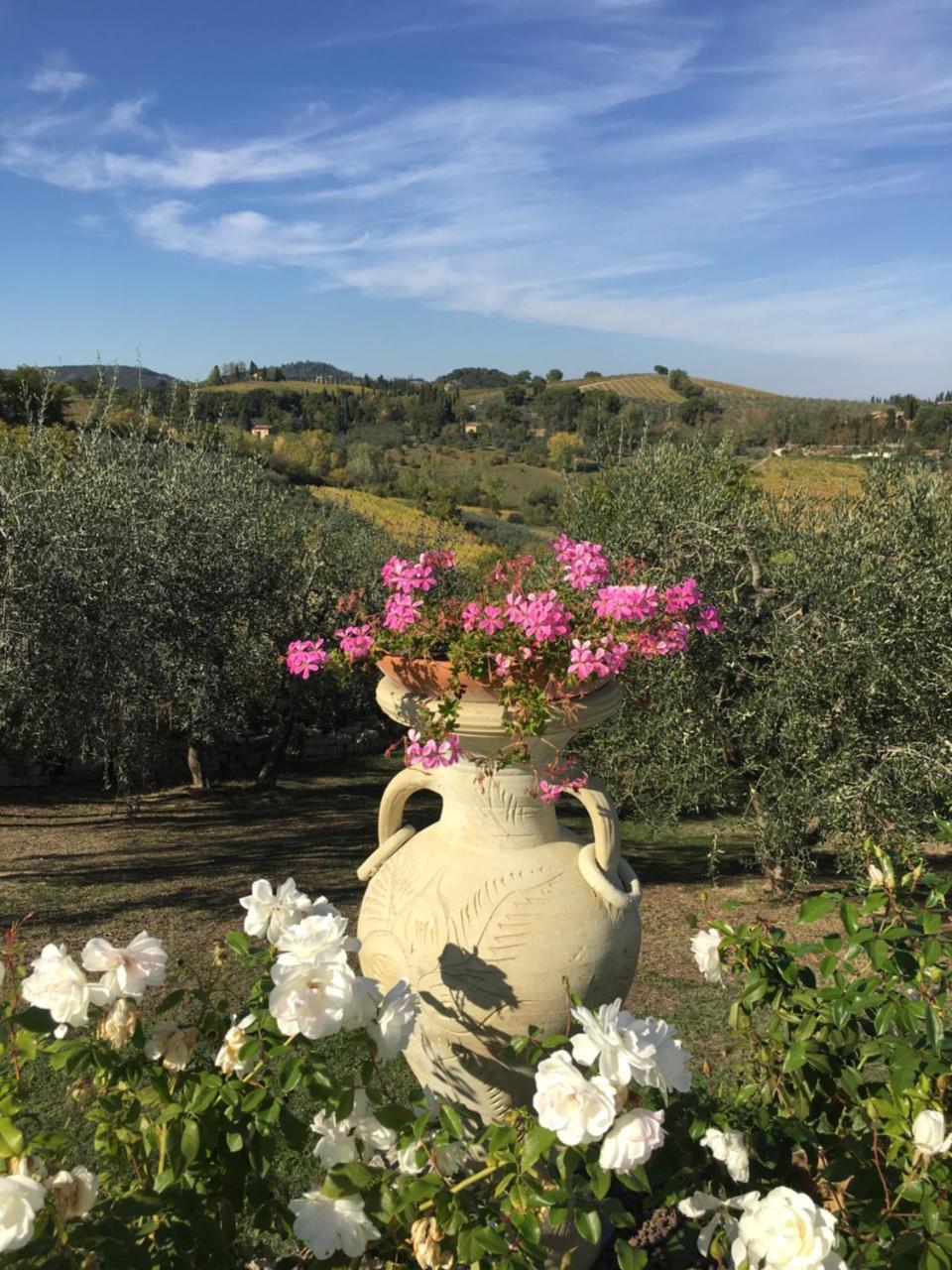 Podere Bellavista San Gimignano Exteriör bild
