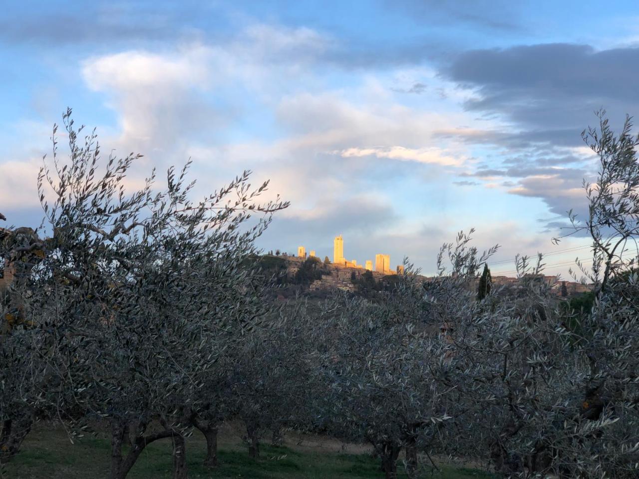 Podere Bellavista San Gimignano Exteriör bild