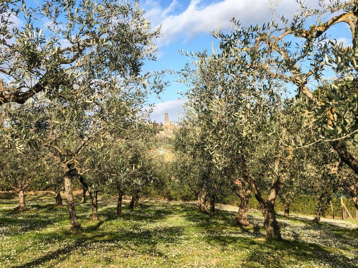 Podere Bellavista San Gimignano Exteriör bild